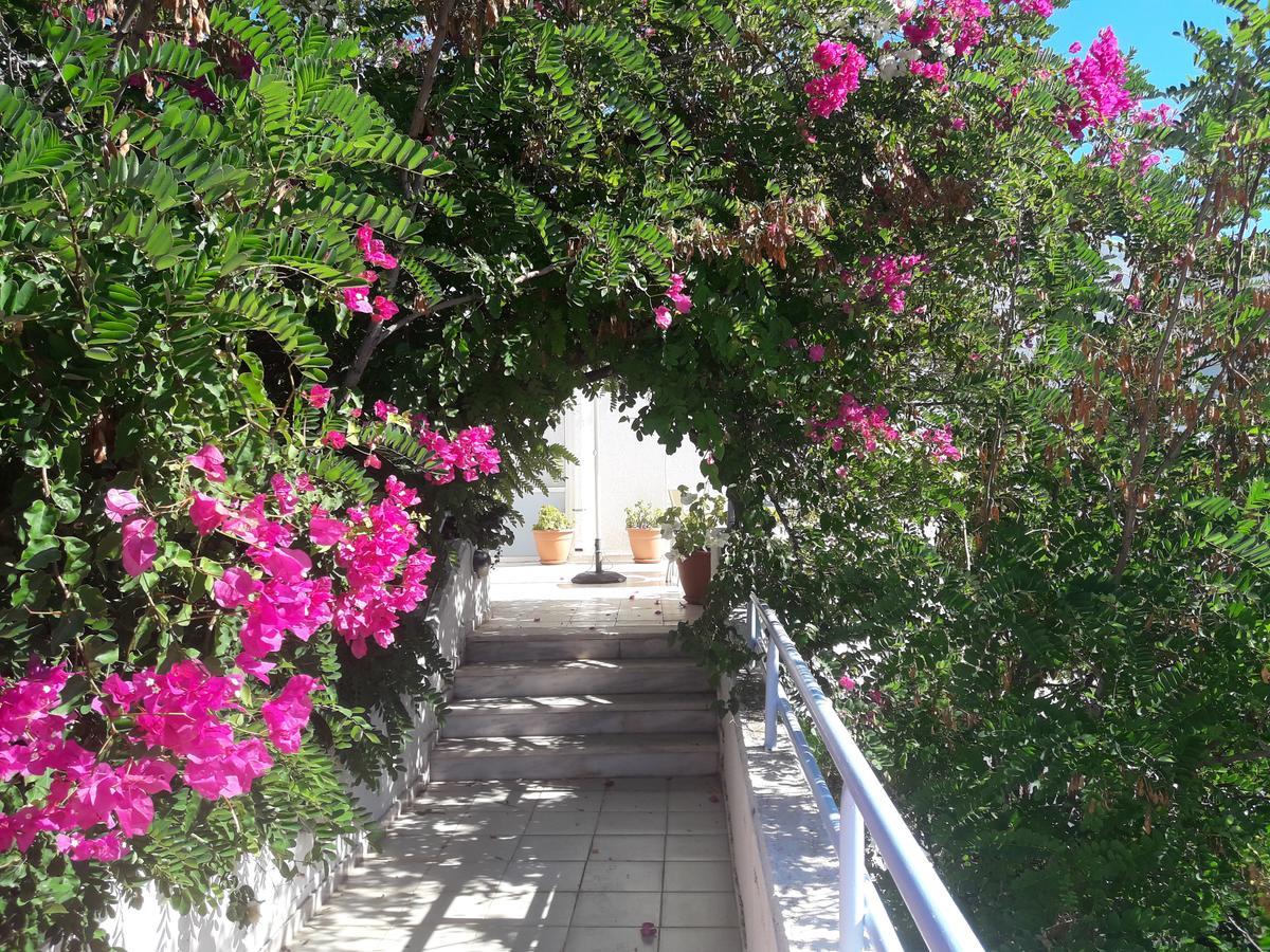 Seafront Studios And Apartments Хіос Екстер'єр фото